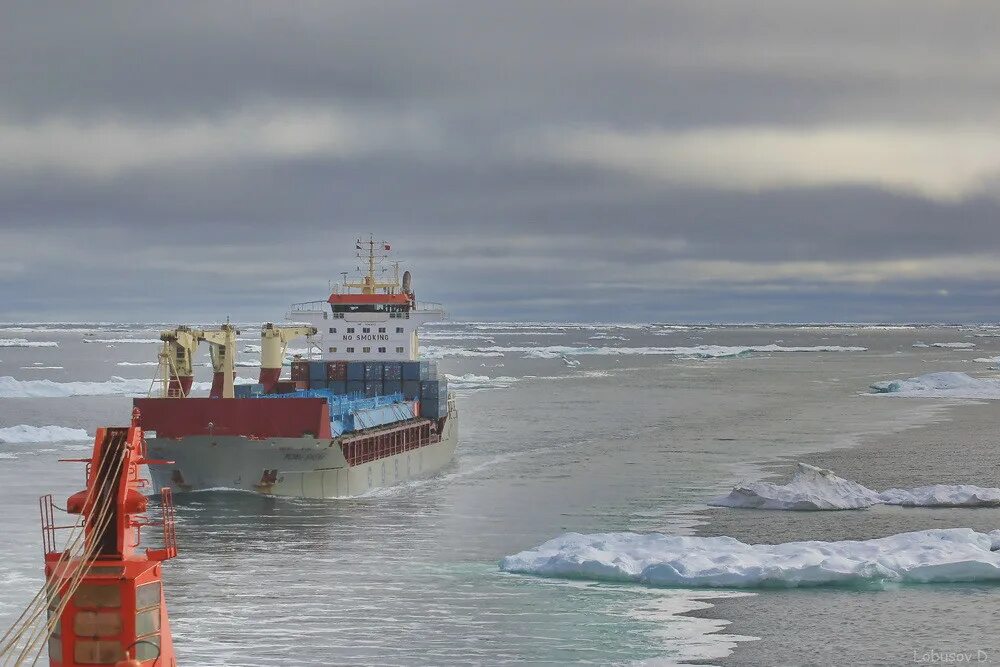 Северный транзит. Море Лаптевых Северный морской путь. Лихтеровоз Севморпуть. Чукотское море Северный морской путь. Контейнеровоз Севморпуть.