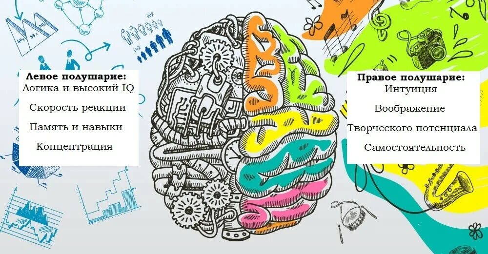 Правом полушарии интроверта
