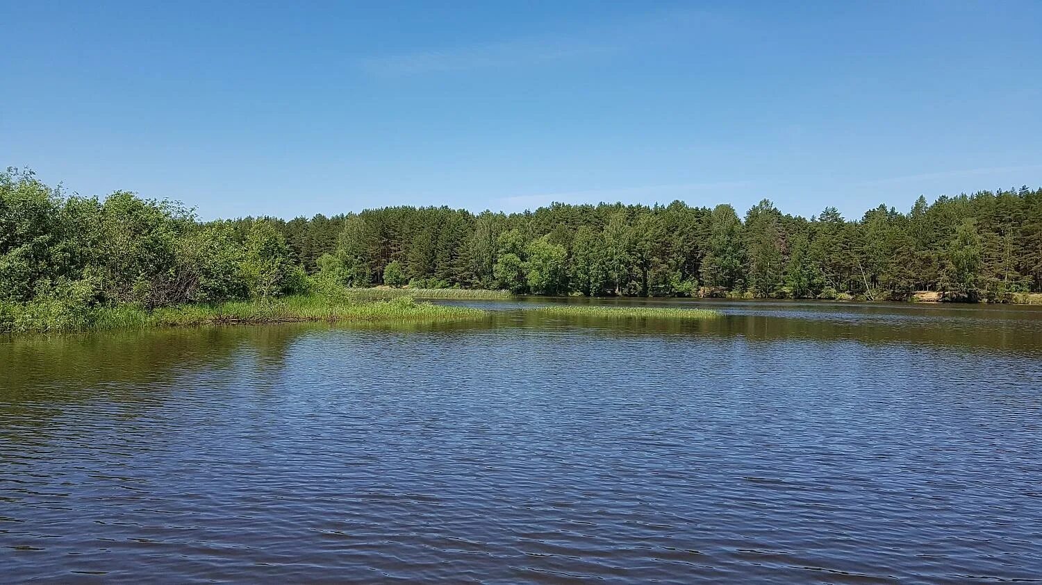 На чеснаве. Горелово река Чеснава. Горелово Рыбинское водохранилище. Горелово Ярославская область. Парк отель Чеснава Брейтовский.