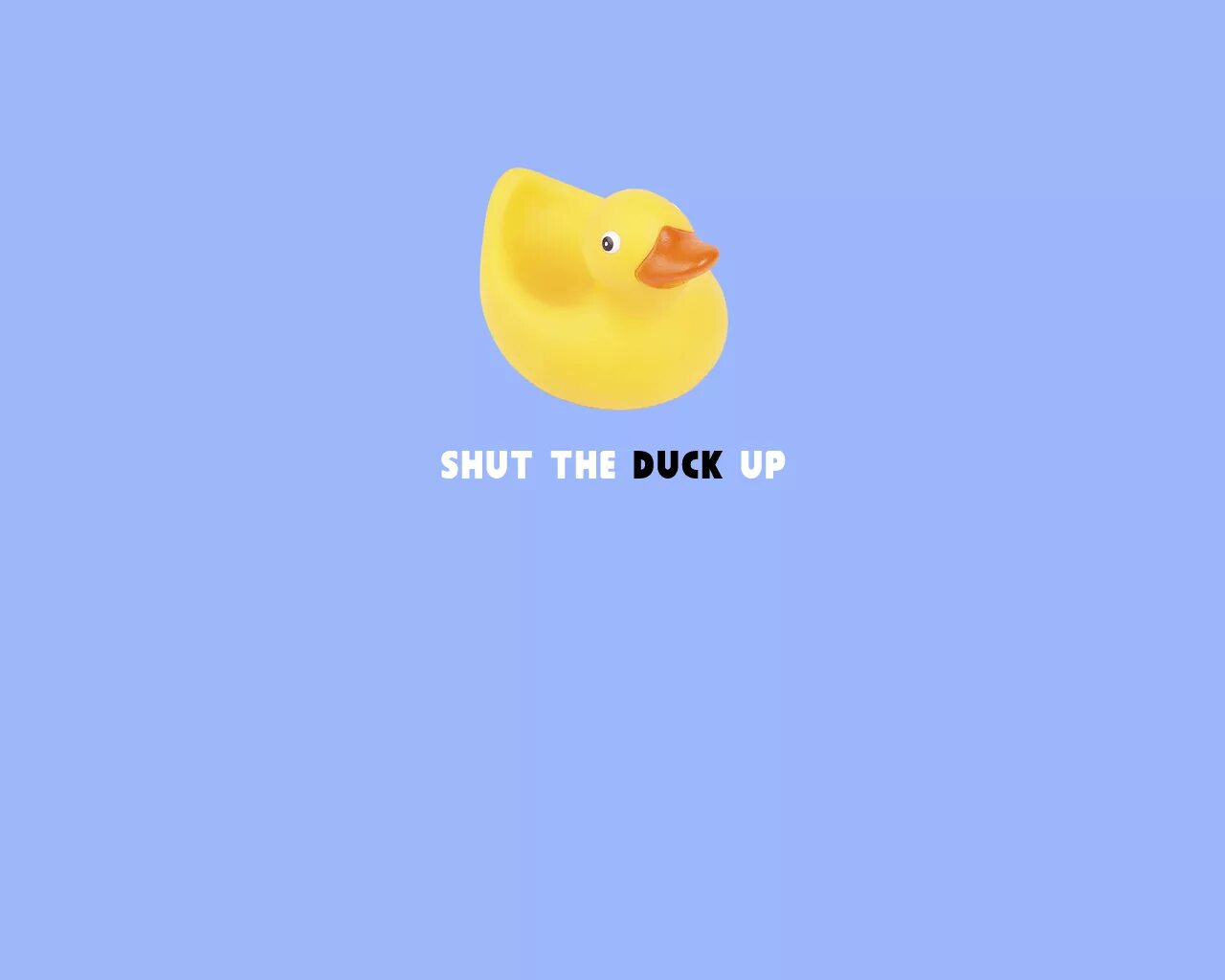 Duck up. Обои shut up. обои на телефон shut up. утки с надписью фу. suck my duck.
