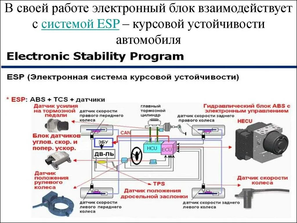 Электронные системы управления тормозными системами. Система стабилизации esp. система динамической стабилизации esp. электронная система динамической стабилизации автомобиля?. система электронного управления антипробуксовочная (esp)..
