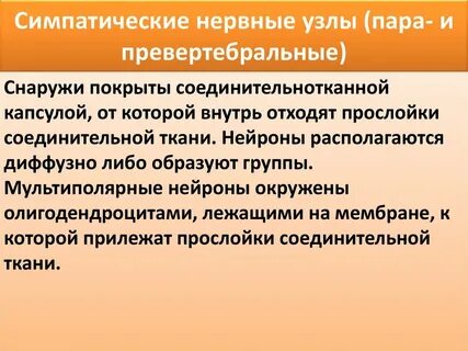 Где находятся симпатические ганглии