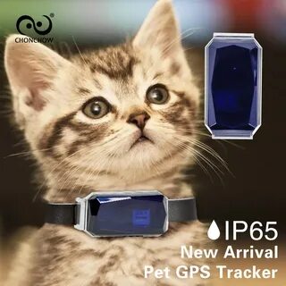 Ошейник с gps для кошек