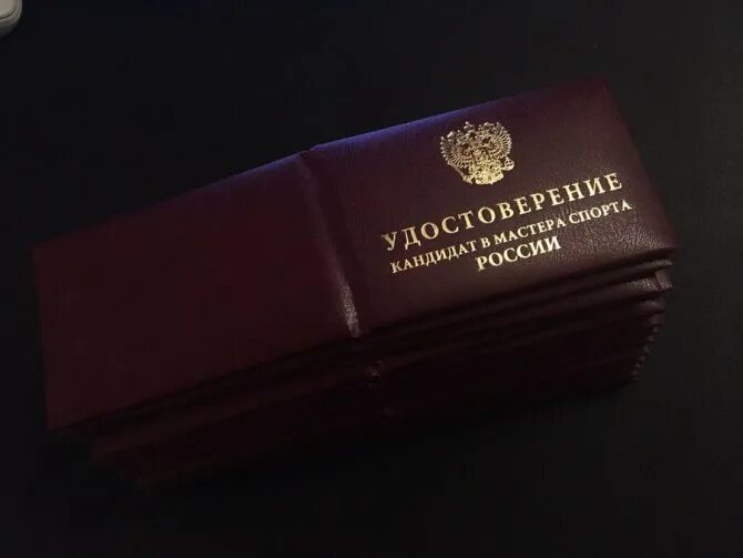 мастер спорта ссср международного класса. мастер спорта россии международного класса. мастер спорта пенсия. мастер спорта пенсия. значок мастер спорта.