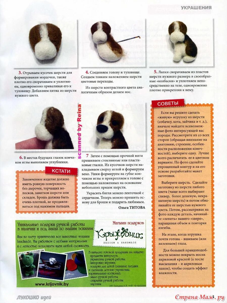 строение шерсти животных. собаки по типу шерсти. породы собак для шерсти вязание. строение кошачьей шерсти. типы шерсти щенка пуделя.