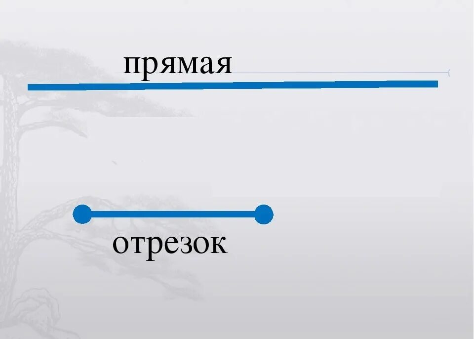 Прямая линия главное. Отрезок. Прямой отрезок. Прямые отрезки. Прямая.