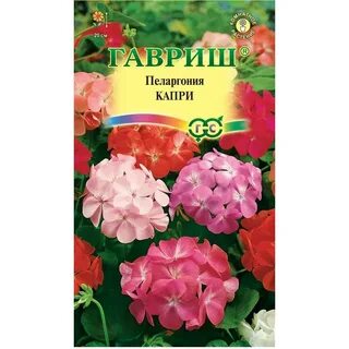 Семена пеларгонии