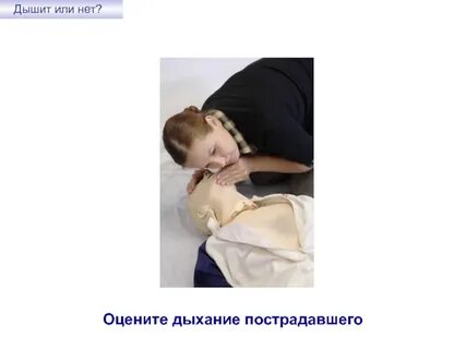 Как правильно дышащая или дышущая