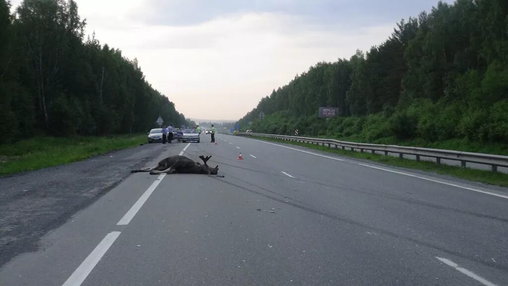 Дорога екатеринбург первоуральск. Дорога екатеринбург первоуральск. Дорога екатеринбург первоуральск. Дорога екатеринбург первоуральск. Дорога екатеринбург первоуральск.