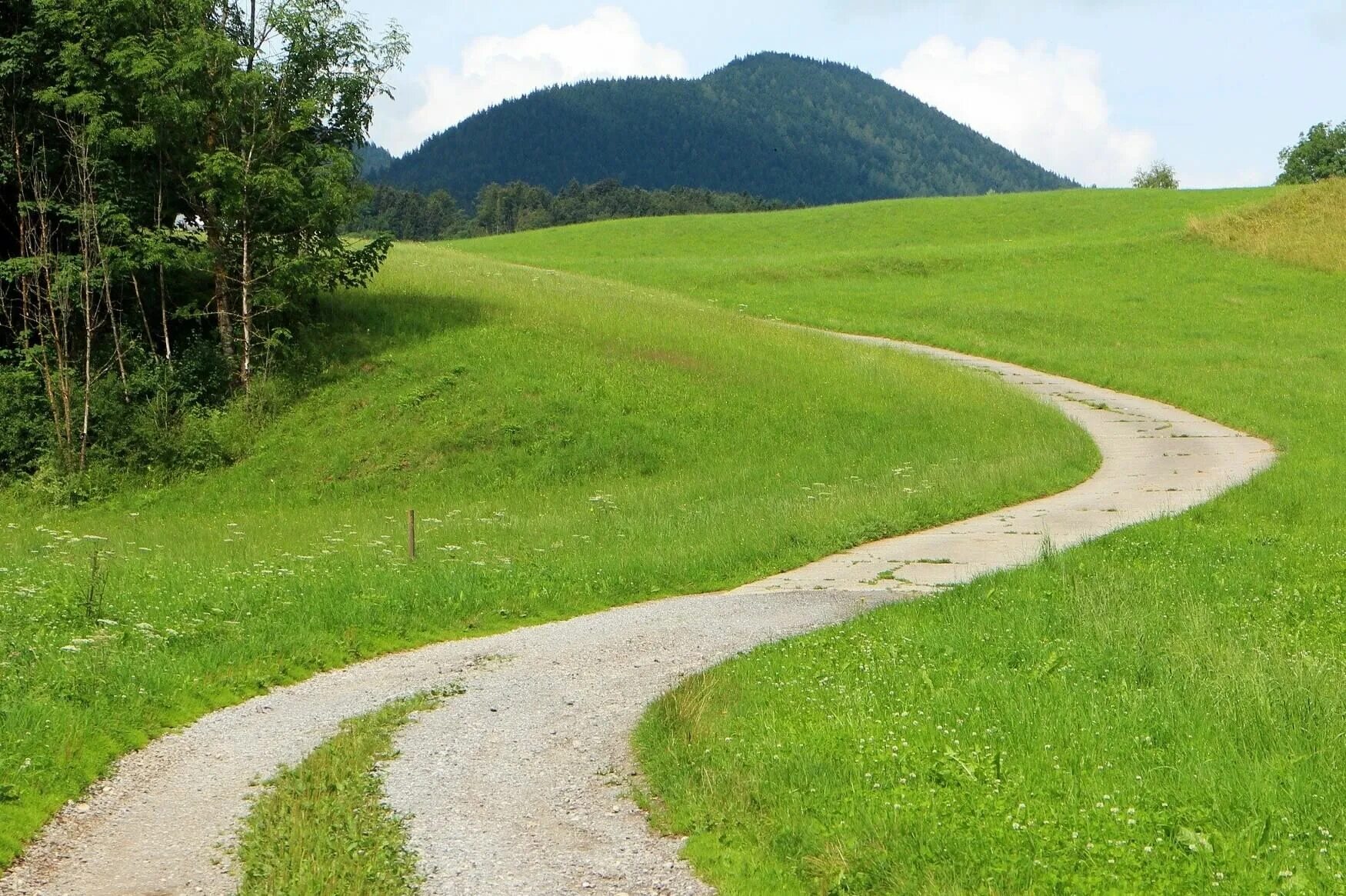 Z path