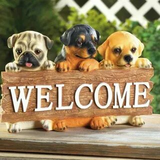 Welcome friends