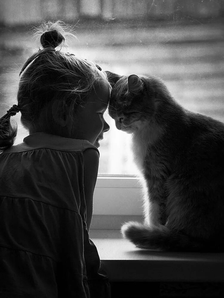 Девочка с котом. Кошка для детей. девочка с котятами. котёнок-ребёнок.