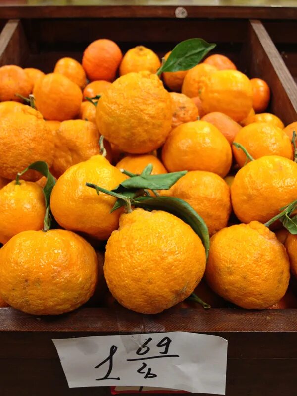 Сколько стоит 1 кг мандарин. Мандарин стоит. Сколько стоит килограмм мандаринов. Мандарины магнит. Мандарины израильские 1кг перекресток.