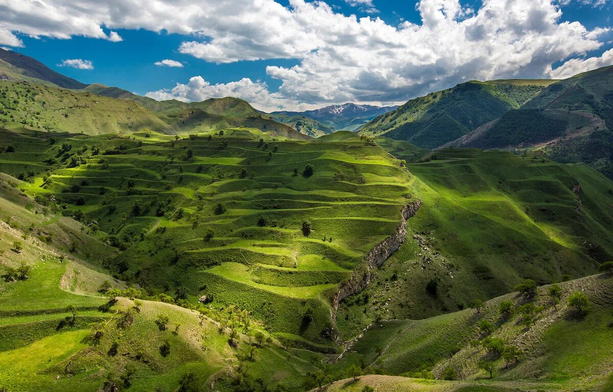 Тур в горы дагестана. Горный Дагестан высокогорный. Горная зона Дагестана. Дагестан природа горы. Террасы Гуниб.