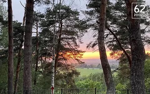 Зон сама