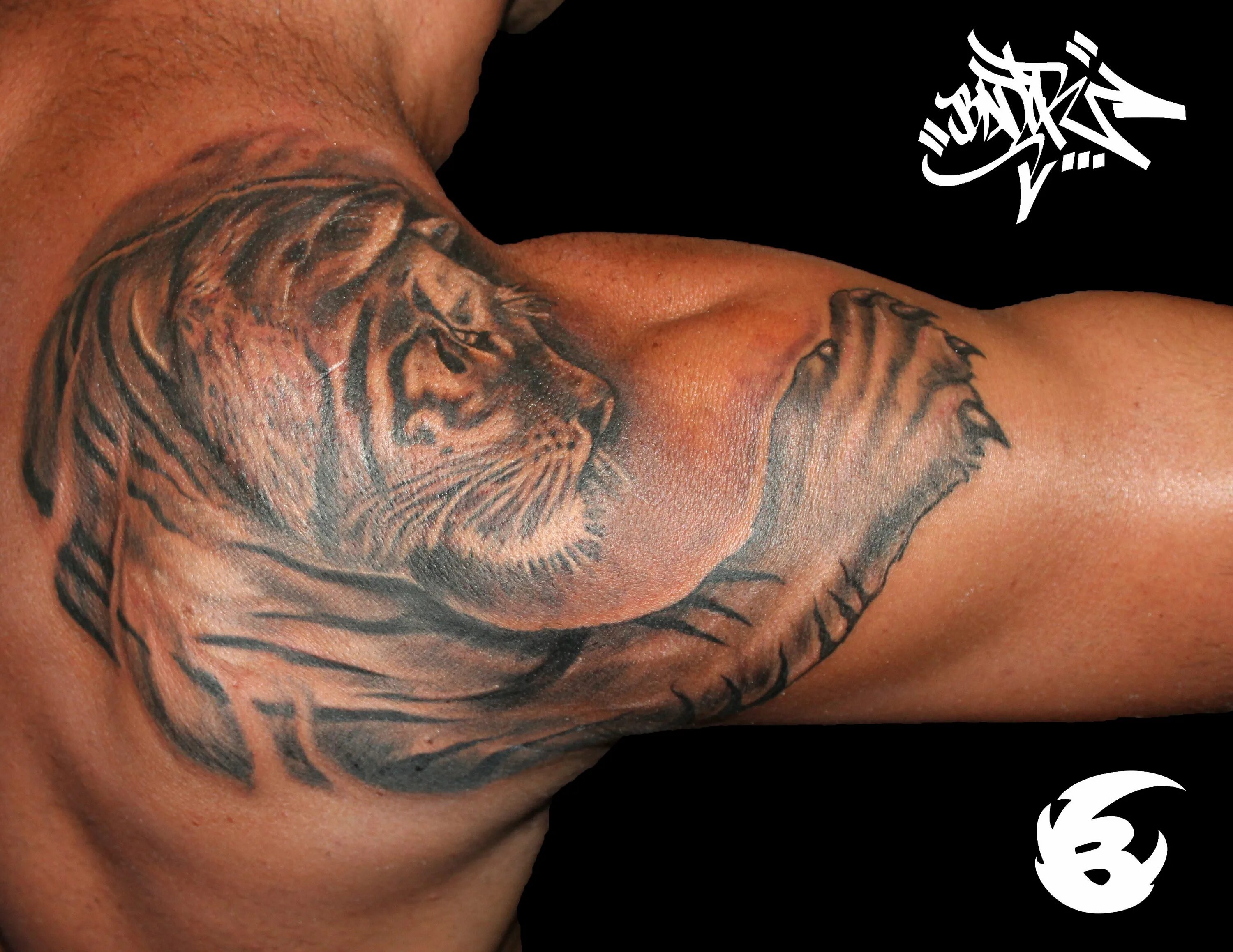 Tattoo * Значение тату: Ловец снов
