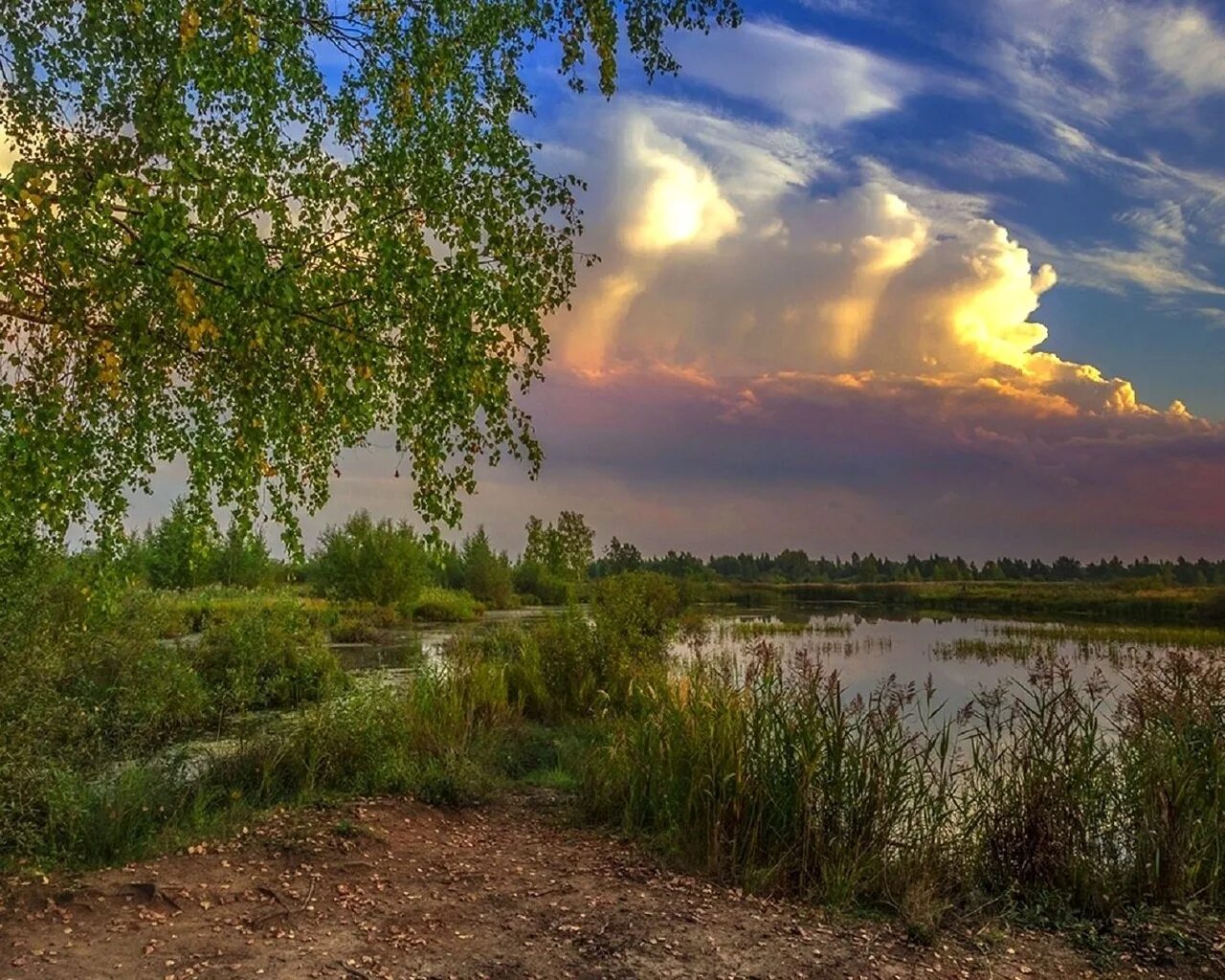 Заря вода. Что такое заря в природе. береза заря. заря фото. березы и водоемы.