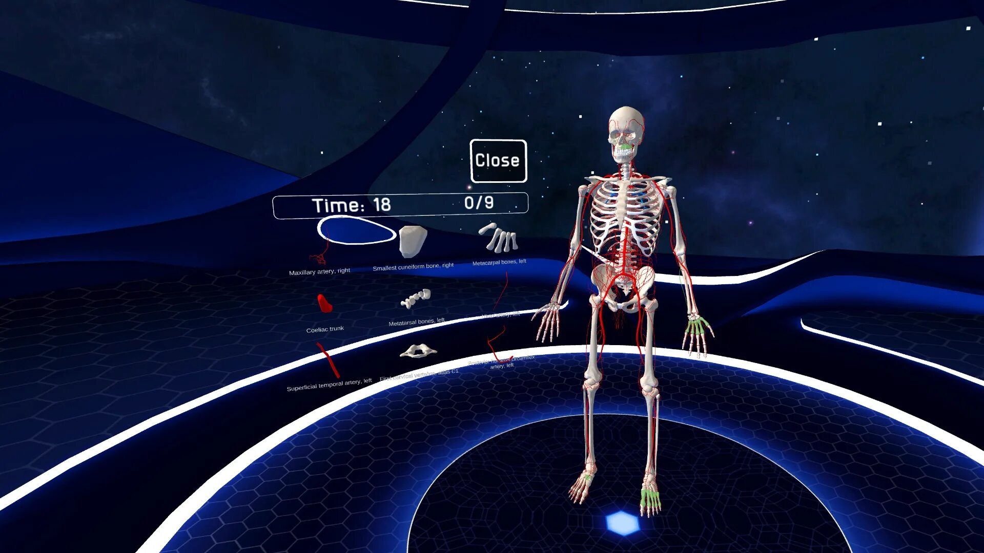 ХЬЮМАН анатомия плейстейшен. 3d Organon VR Anatomy. Anatomy игра. Собрать тело игра