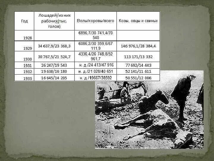 Почему был голод. Голодомор на украине 1932-1933 гг.. голода 1932–1933 годов в поволжье. причины голода в ссср 1932-1933.