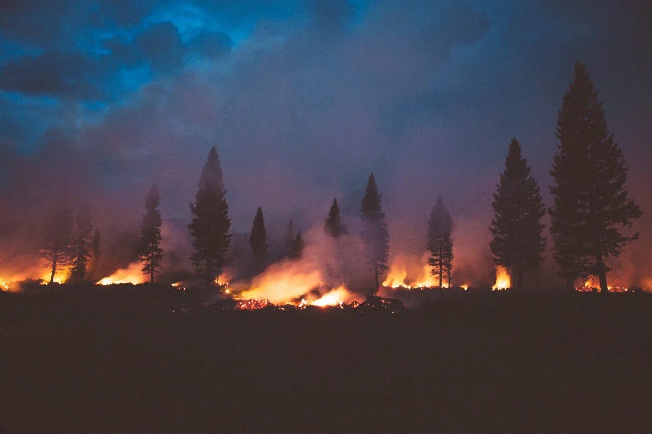 Вдали горит. Пожар Эстетика. Пожар в лесу Эстетика. Огонь Эстетика. Огонь в лесу Эстетика.