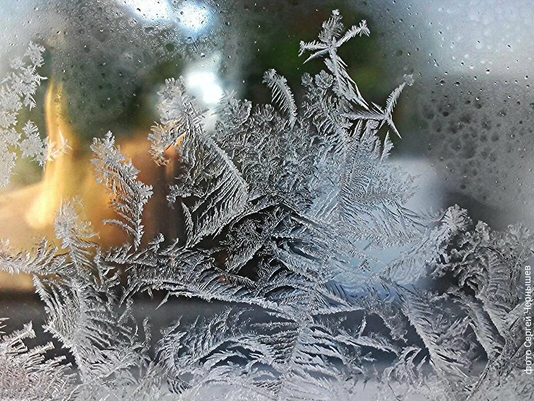 морозные узоры на стекле. узоры на окне. морозные узоры на окне. зимние узоры на окнах. сквозь расписанные серебром на окне морозные звезды.