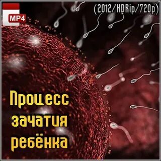 Как происходит зачатие естественным путем