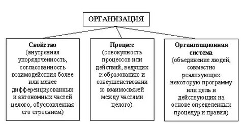 Свойства организации как системы