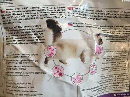Как понять что аллергия на кошек