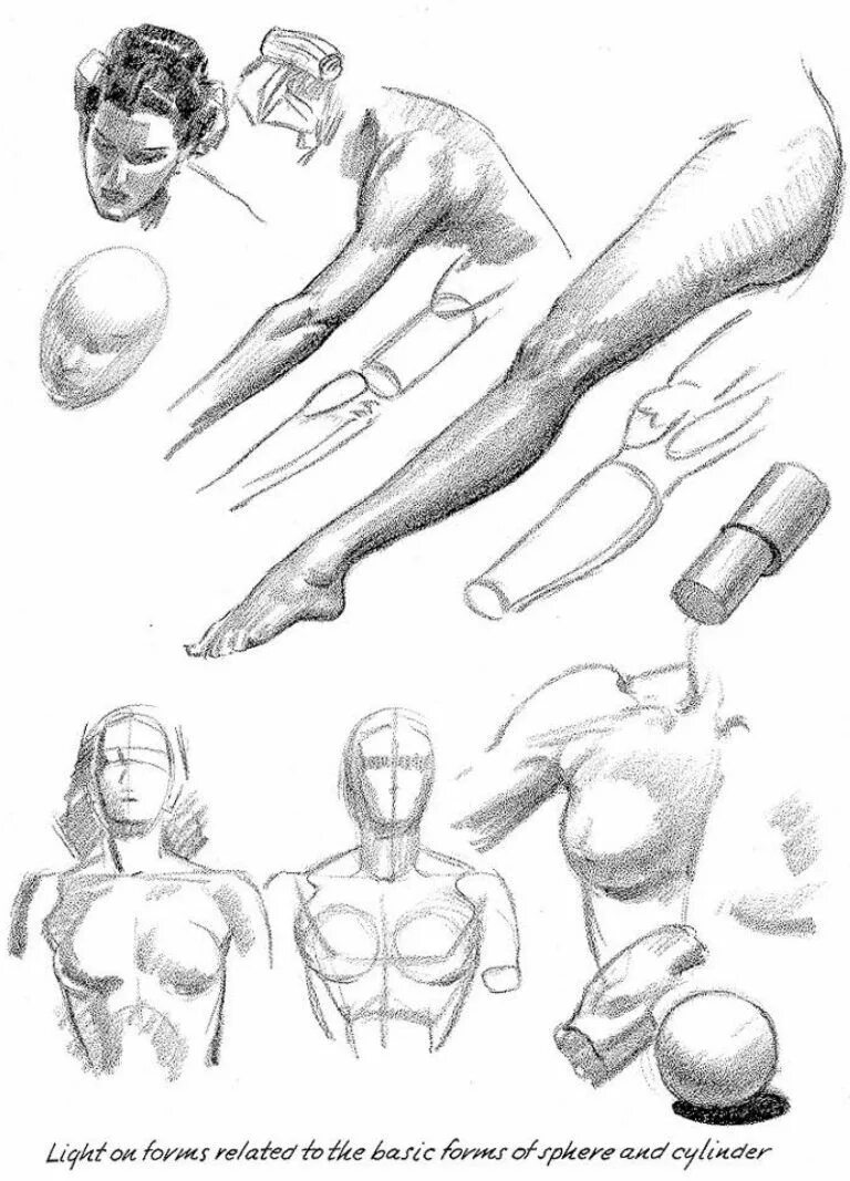Draw forms