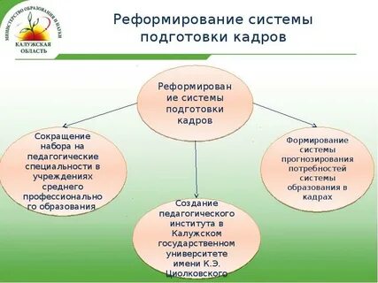 Проведение реформ системы образования относится