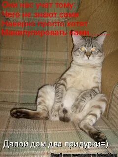 Сама наверно