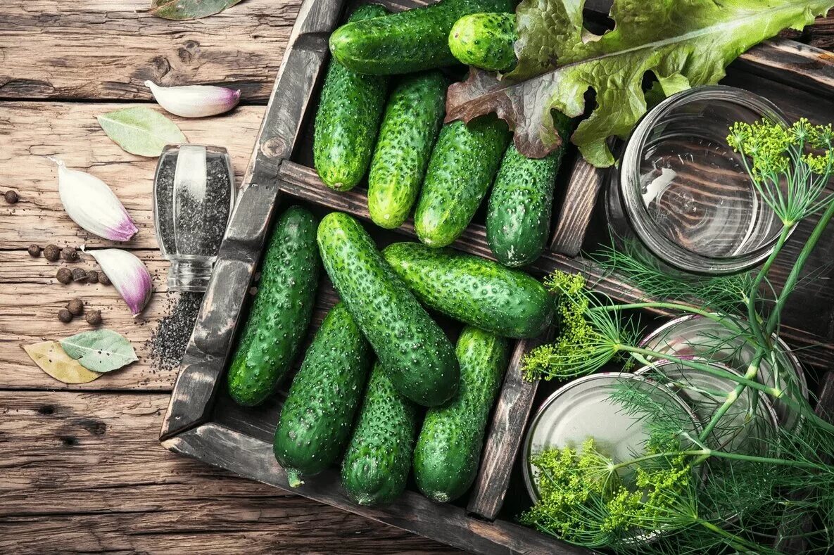 Vegetables and cucumber. Огурец. Овощи огурец. Большой урожай огурцов. Огурцы красиво.