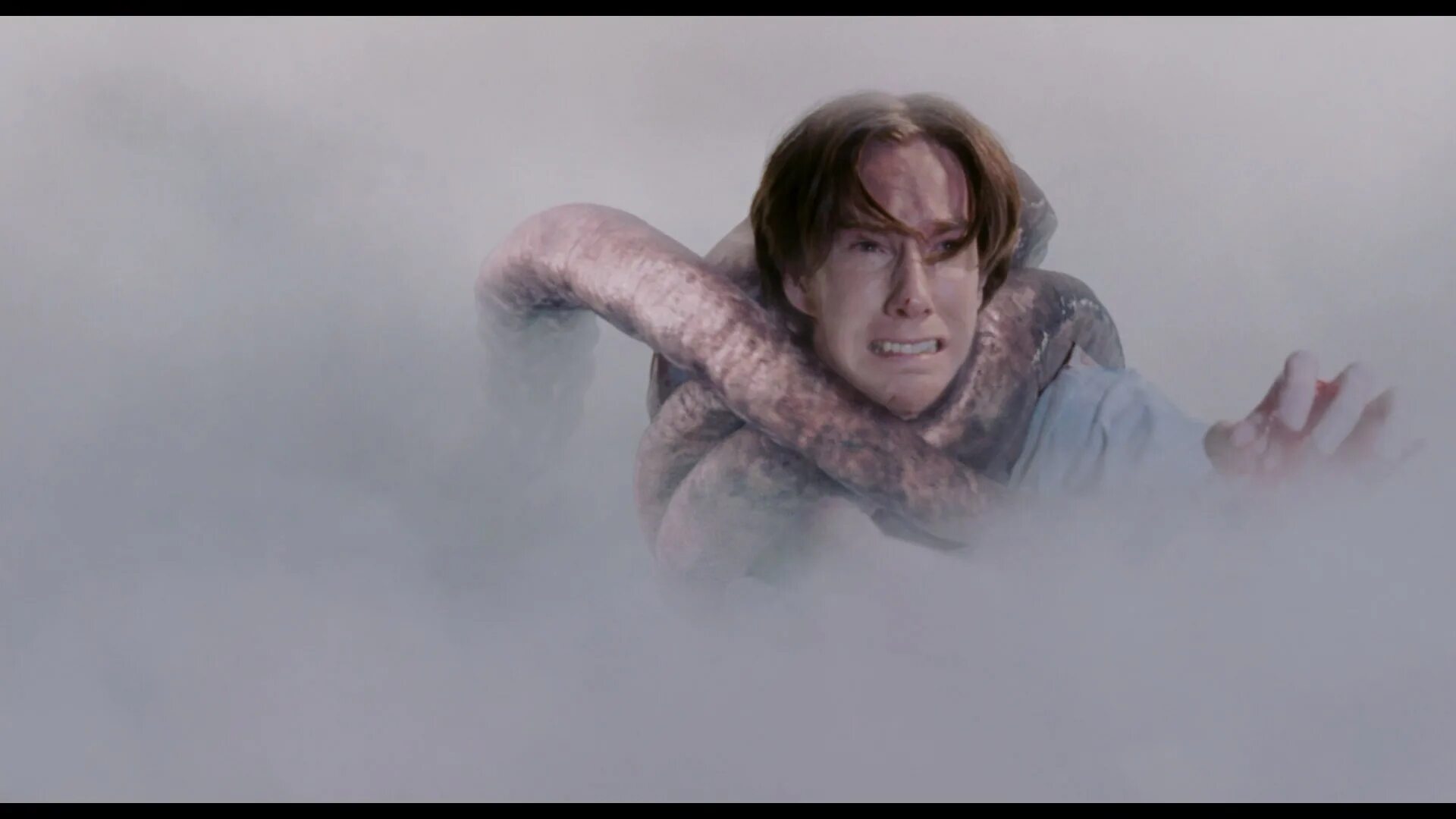 The man from the fog 1.2