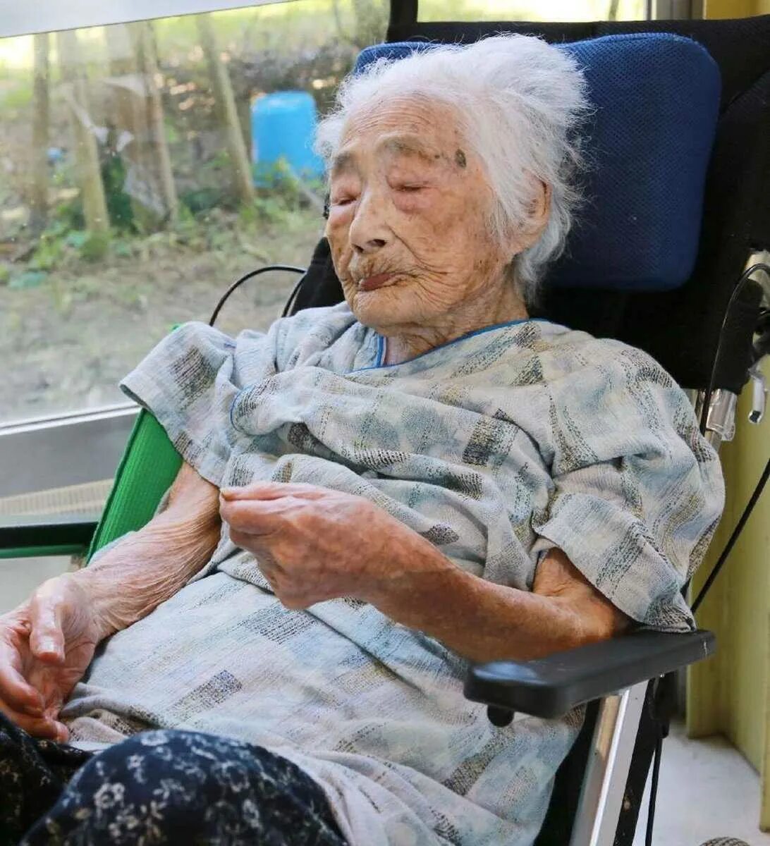 Пожилой человек с самой. Наби Тадзима японская долгожительница. Долгожитель Наби Тадзима. Наби Тадзима в молодости.
