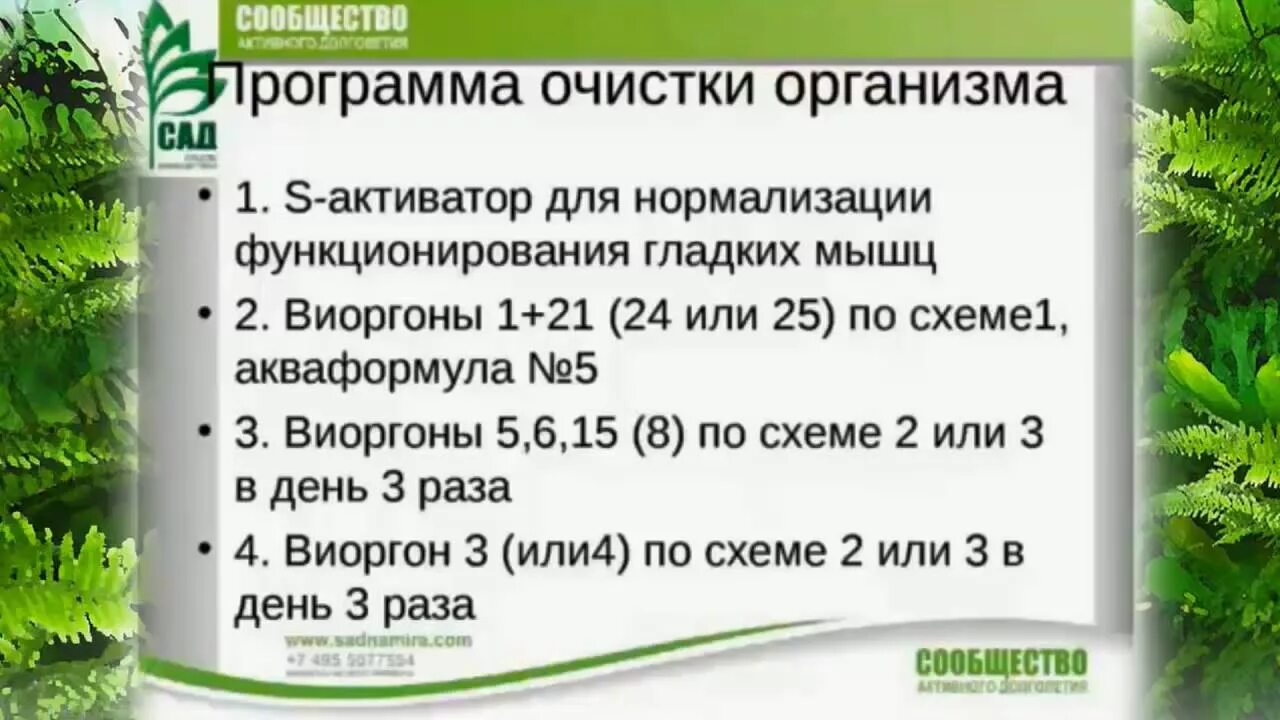 Диеты от шлаков и токсинов. Очищение от шлаков и токсинов. Программа очищения организма. Очистить организм от шлаков и токсинов. Как очистить организм от шлаков.