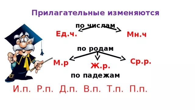 Имена прилагательные изменяются по числам. Изменение имен прилагательных по родам числам и падежам. Прилагательные изменяются по родам числам и падежам. Имена прилагательные изменяются по родам и числам. Два изменяется по родам