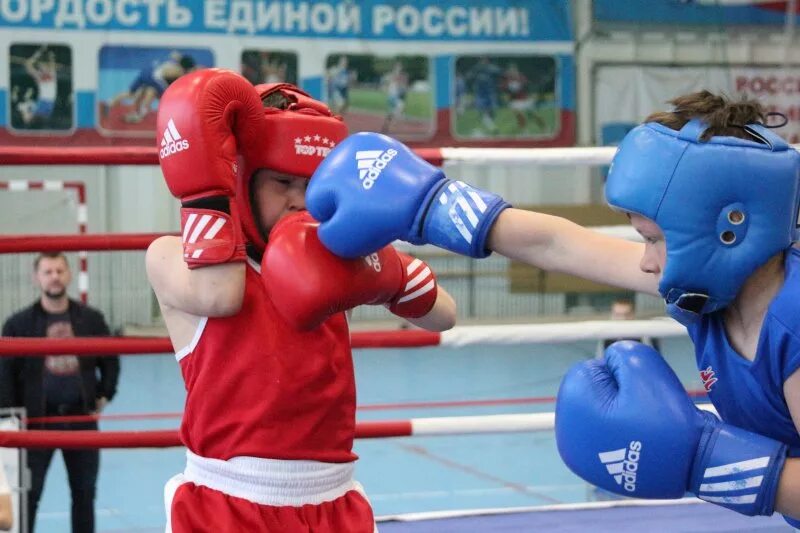 Бокс соревнования Междуреченск. Кубок Амура бокс. Турнир по боксу город Владикавказ турнир Святого Георгия Победоносца.