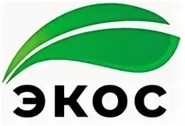 Экос сайт