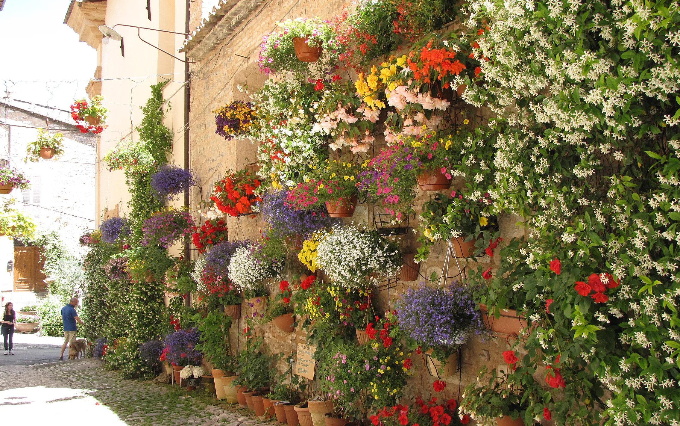 Street of flowers. Город цветов Спелло (Spello). Италия. Спелло Умбрия Италия. Улицы Италии Спелло. Цветочные улочки Спелло Италия.