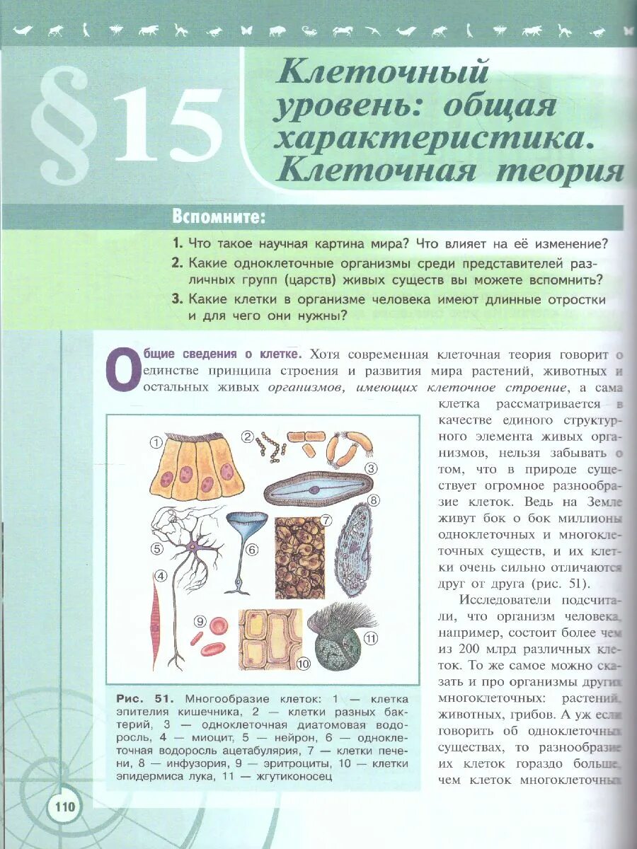 Пасечник 10 класс углубленный уровень. Биология 10 класс учебник. биология 10 класс учебник базовый уровень. учебник по биологии 10 класс базовый уровень. биология просвещение учебник.