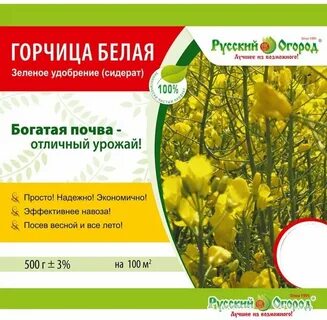 Какой сидерат лучше горчица белая или желтая