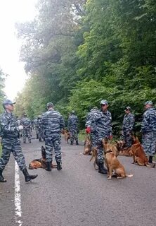 Соревнования кинологов