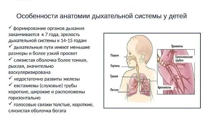 Причины нарушения дыхательных путей. Заболевания дыхательной системы у детей. Заболевания органов дыхательной системы у детей. Структура болезней органов дыхания у детей. Хронические заболевания дыхательной системы у детей.