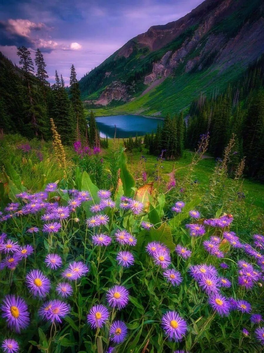 Красивые фотки лета. Природа. Прекрасный мир природы. Летняя природа. Красивое лето.