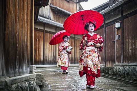Where to See Geisha in Kyoto: A Guide Japan Cheapo.