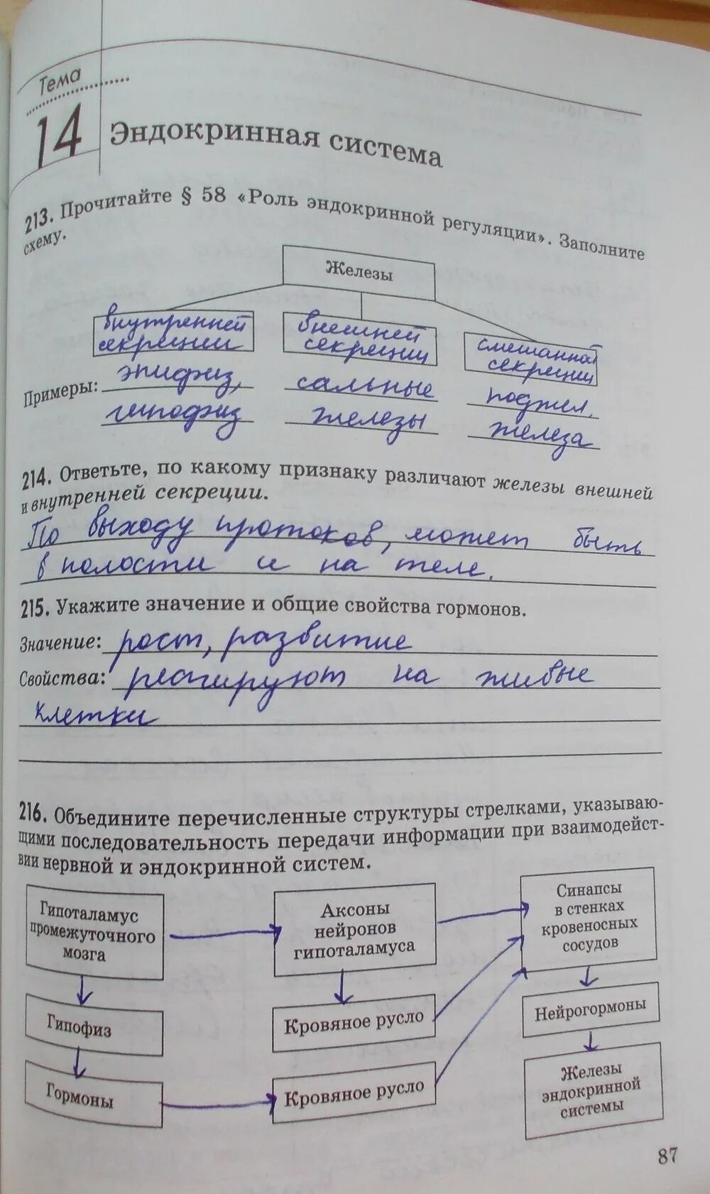 Опорные конспекты по биологии 8 класс Колесов. Биология 8 класс Колесов гельминтозы таблица. Биология 8 класс Колесов рис 97. Краткий конспект по биологии 8 класс Колесов 37 параграф витамины. Биология 8 рабочая тетрадь маш беляев