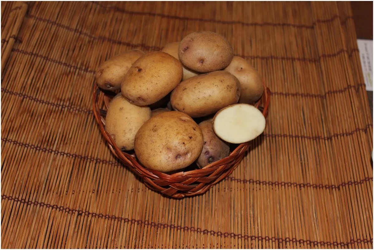 Семенной картофель синеглазка купить. Картофель семенной Синеглазка. Сорт картофеля Синеглазка. Сорт картошки Синеглазка. Семена картофеля Синеглазка.