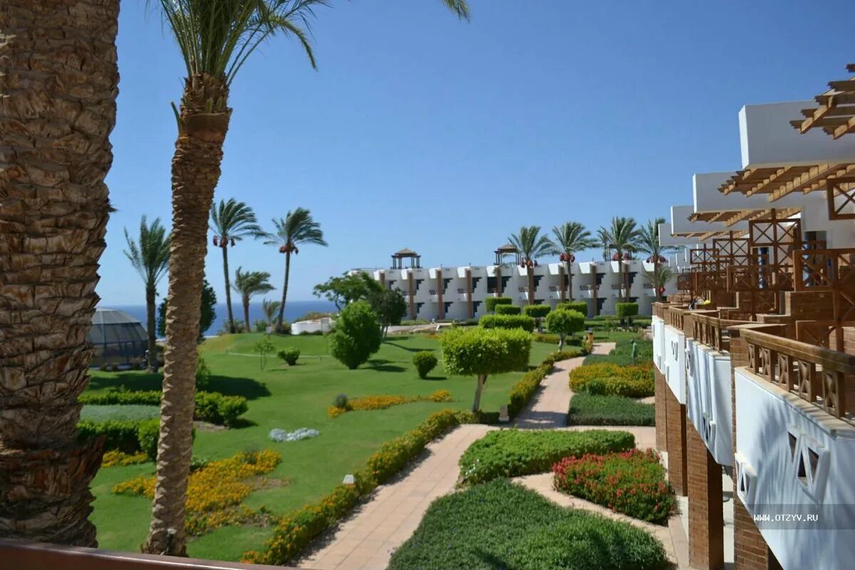 Pyramisa beach sharm 5. Пирамиса египет шарм-эль-шейх. пирамиса бич резорт шарм эль шейх отель. 5 отель pyramisa beach resort sharm. бич дессоле пирамиса шарм-эль-шейх.