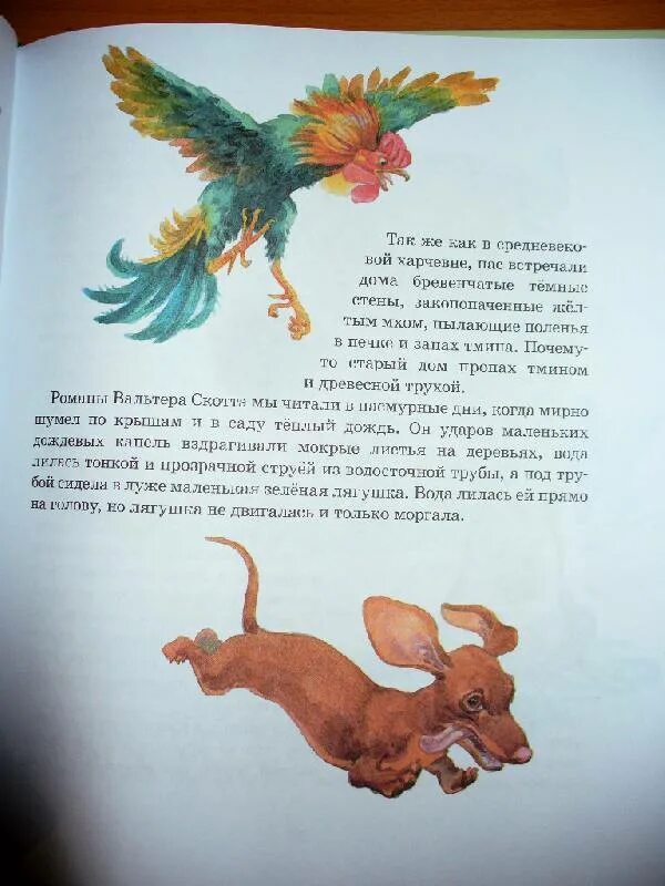 Продолжение сказки растрепанный воробей. Сказки паустовского. План растрепанный воробей 3 класс литературное чтение паустовский. План к сказке растрепанный воробей паустовский. Диафильм растрепанный воробей паустовский.
