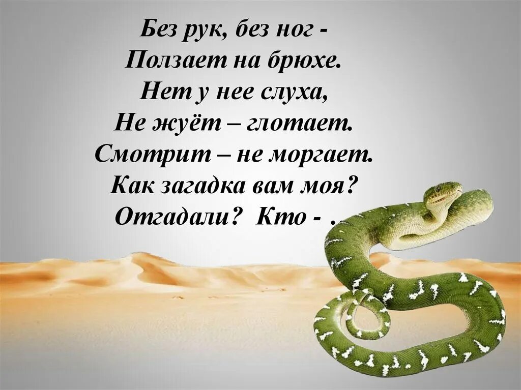 Загадка без рук. Без рук без ног ползает на брюхе. без рук без ног на брюхе ползет ответ на загадку.